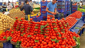 Domatesin ateşini "sera" düşürecek