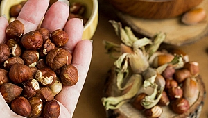 Fındığı nasıl tüketmek gerekiyor?