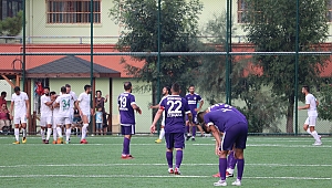 Gebze ağır hasar kayıtlı: 5-1