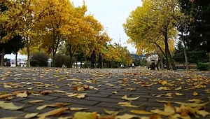 Pastırma sıcakları geliyor