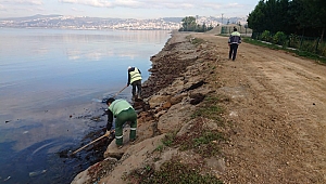 Sahillerden 12 kamyon çöp temizlendi