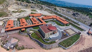 Sokak hayvanlarına 5 yıldızlı bakımevi