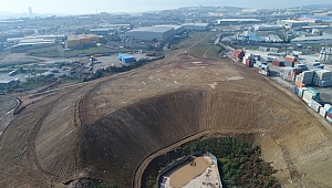 Tavşanlı - Polyak hafriyat alanı ağaçlandırıldı