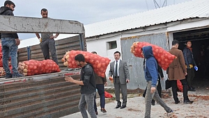 43 soğan deposuna denetim