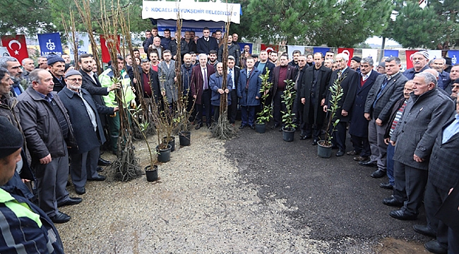 Büyükşehir, yüzde 50 hibeli fidan dağıtacak