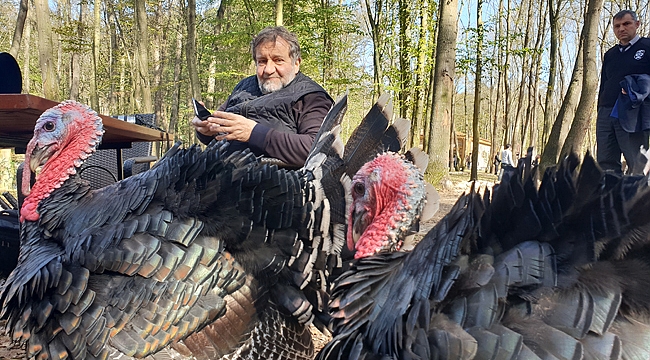 Çoşkun Aral, Ormanya’yı çok beğendi