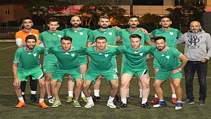Denizli sahasında aslan