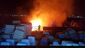 Gebze'de palet fabrikasında yangın
