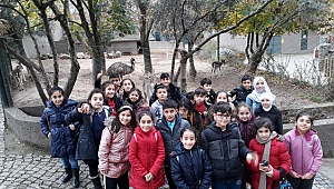 İstanbullu Öğrenciler Darıca’da