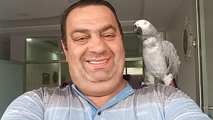 “Kaybettiği kuşu bulana ödül vaat etti”