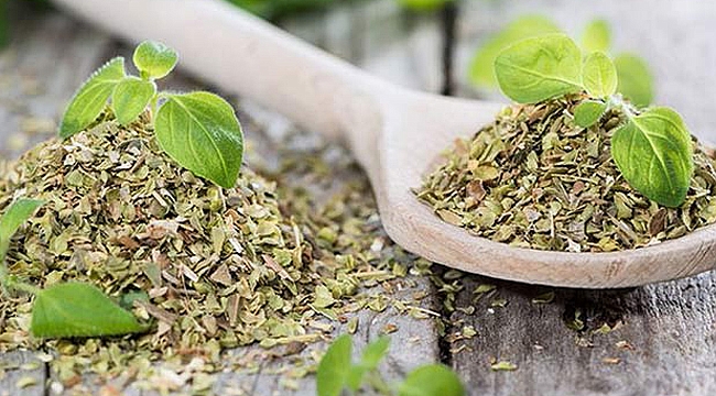 Kekik yağının bilinmeyen faydaları