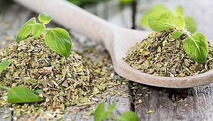 Kekik yağının bilinmeyen faydaları