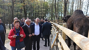  Muhtarlar Ormanya’yı gezdi