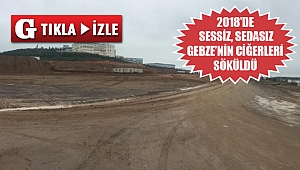 Şantiye bahanesiyle ormanı katlettiler