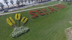 Sekapark, 1 milyon lale ile renklenecek