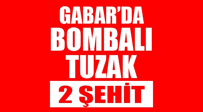 Şırnak'ta 2 asker şehit oldu