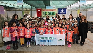 Tohumlar fidan oluyor