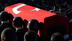 Van'da 1 asker şehit oldu