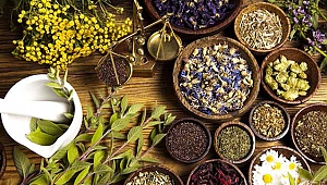 Fitoterapi nedir?