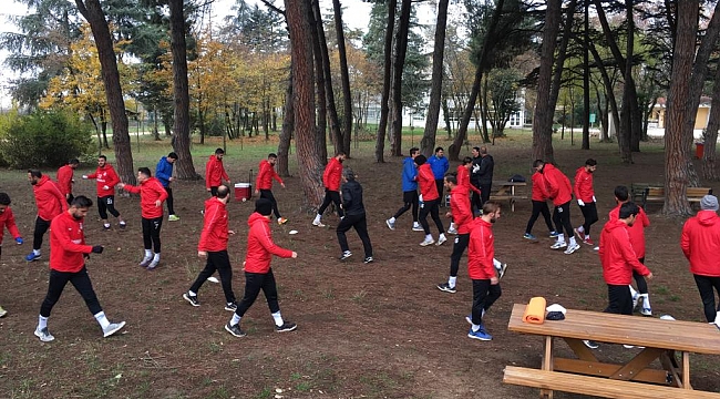Menekşe oksijen depoladı