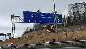 Bu kez de Çayırova'da!