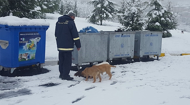 Soğuk havada kuru mama desteği