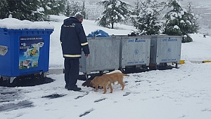 Soğuk havada kuru mama desteği