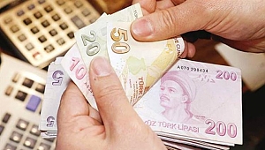 TÜİK'in asgari ücret raporu
