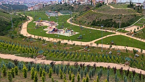 1 yılda 325 bin fidan toprak ile buluştu