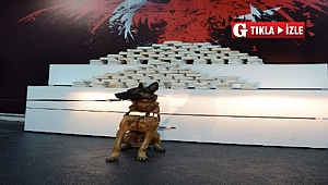 100 paket uyuşturucu ele geçirildi