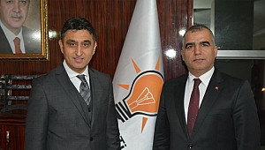 Celep, "Gecemizi gündüzümüze katacağız"
