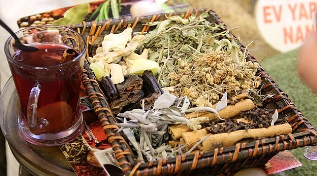 Doğal antibiyotikler nelerdir?