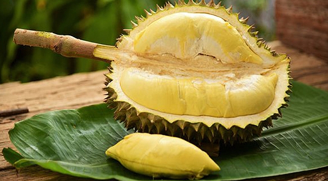Durian nedir?