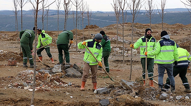Eski kömür ocağı ağaçlanıyor