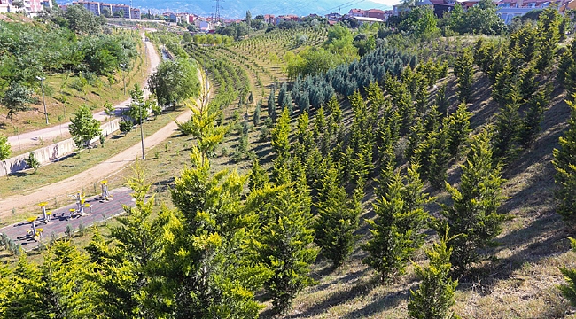 Kaşkaldere Mesire Alanı nefes aldıracak