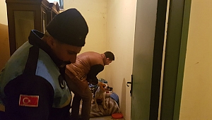 Yaralı köpeğe Büyükşehir sahip çıktı