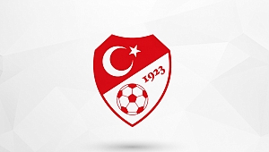 A Milli Takım'ın yeni teknik direktörü açıklandı!