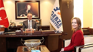 Çetinkaya, Köşker'i ziyaret etti