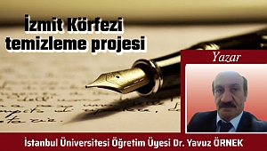 İzmit Körfezi temizleme projesi