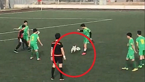 Sahaya giren köpek maçı karıştırdı