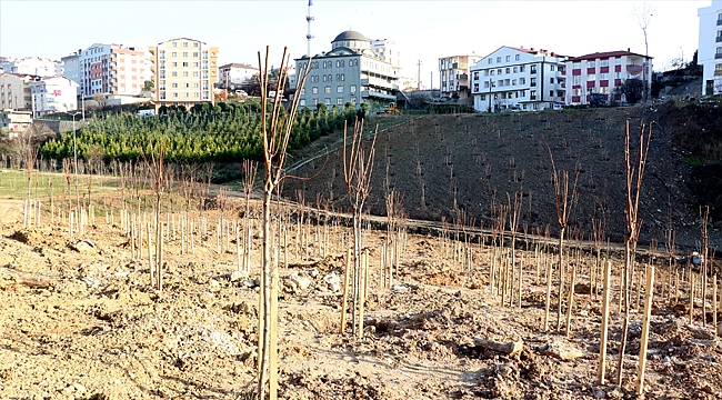 Tatlıkuyu Vadisi 2. etabında çalışmalar sürüyor
