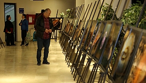 Bu sergide İzmit Körfezi’nin değişimi anlatıldı