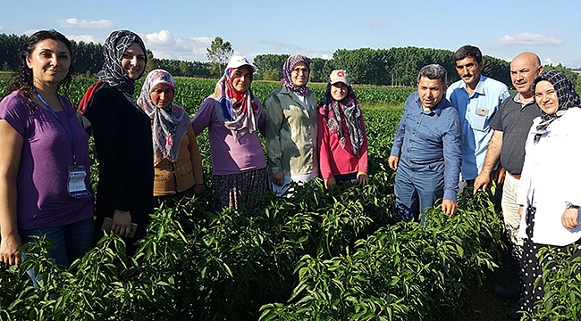 Büyükşehir’den çiftçiye tohum desteği