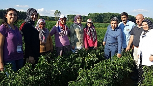 Büyükşehir’den çiftçiye tohum desteği