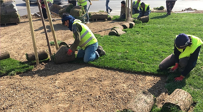 Dilovası Batı Kavşağı’nda çimler seriliyor