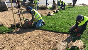Dilovası Batı Kavşağı’nda çimler seriliyor