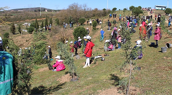 Gebze'de fidanlar topraklarla buluştu