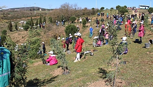 Gebze'de fidanlar topraklarla buluştu