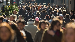 İşsizlik oranı yüzde 13 oldu