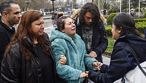 Köpek katliamında tutuklama talebi reddedildi